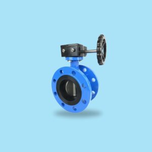 Butterfly Valve C/W Wormgear and Handwheel (PN16)
